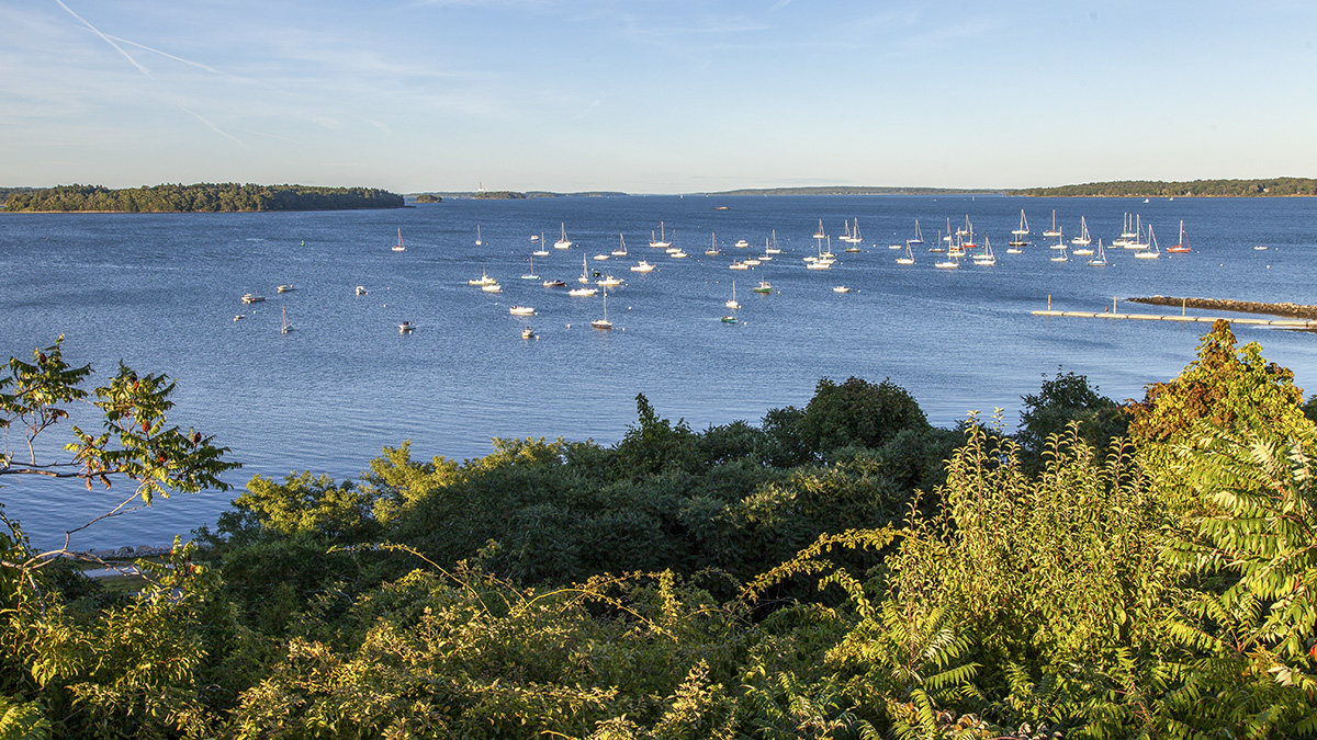 Eastern Promenade View